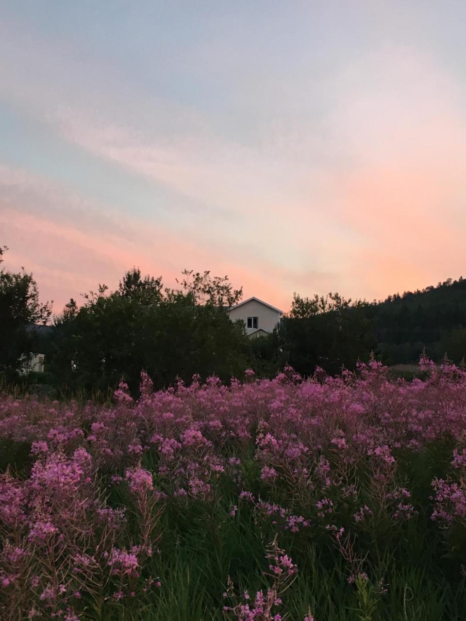 La Chouette Viree Bed & Breakfast Grandes-Bergeronnes Luaran gambar